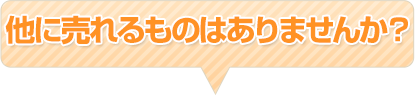 他に売れるものはありませんか？